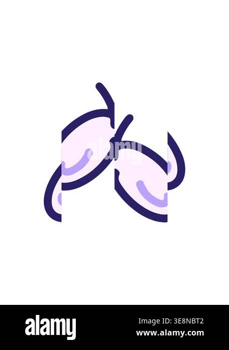 splitting motion animation of simple bold design of a butterfly Stock ...