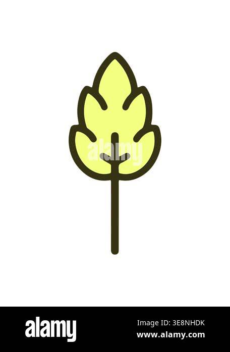 changing color animation of simple spring leaf Stock Video Footage - Alamy