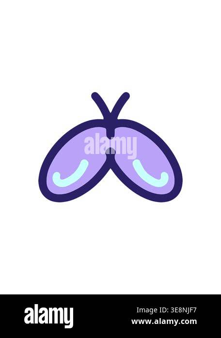 pressure popping animation of simple and bold butterfly drawing Stock ...