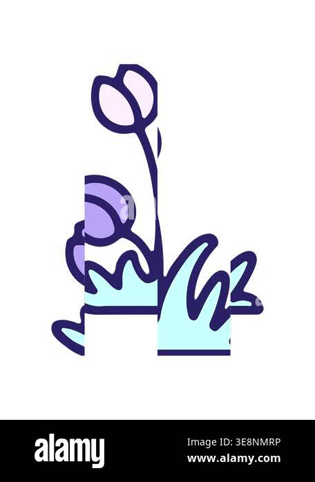 splitting motion animation of cute simple tulip flower design Stock ...