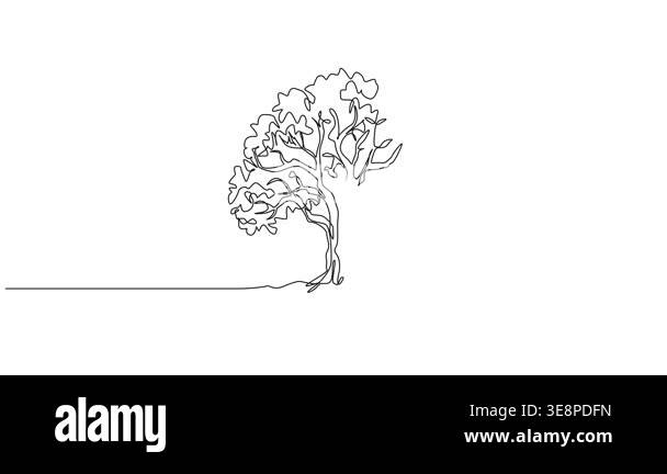 animated minimal continuous line drawing of a broad-leaved tree, line ...