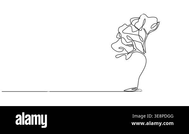 animated minimal continuous line drawing of a broad-leaved tree, line ...