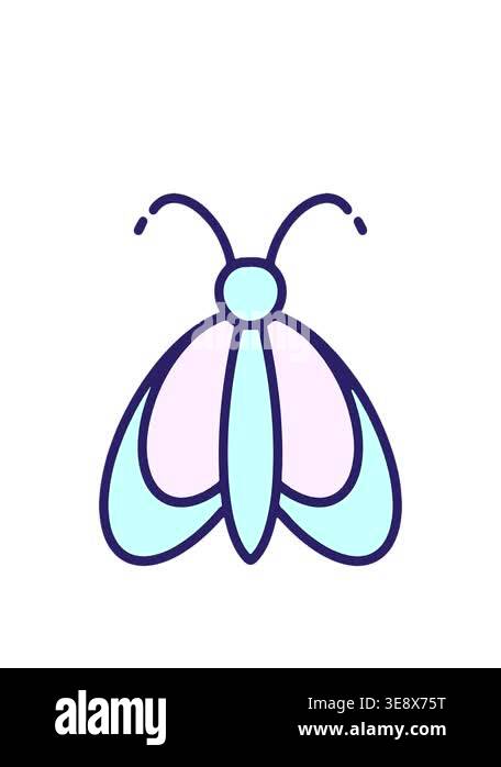 stretching up animation of simple bold drawing of a butterfly Stock ...