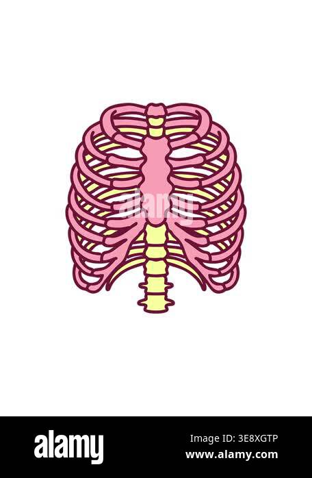 splitting effect animation of iconic tattoo style image of a rib cage ...