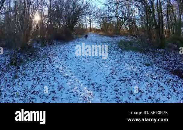 POV walking through a snowy winter woodland in the UK. High-angle ...
