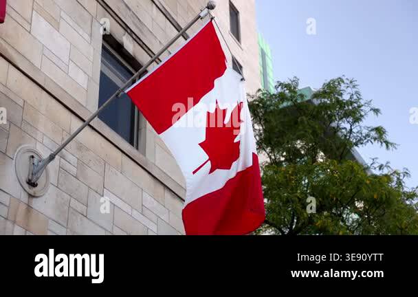 Canadian flag on building facade in Ottawa downtown, Canada Stock Video ...
