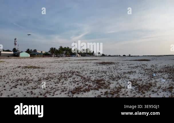Sparse Snow An expansive winter landscape covered in snow, featuring sparse dry ...