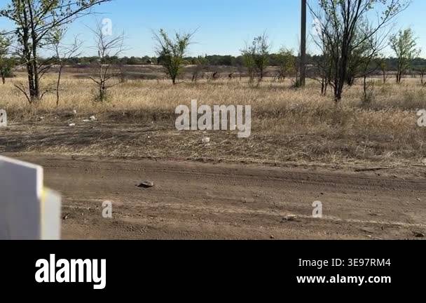 Cyclists ride through a dry rural field near a suspected mine ...