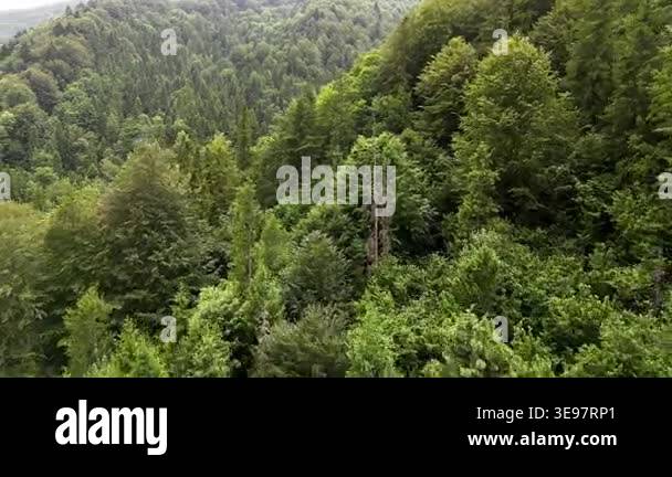 Aerial view of a small town nestled in a valley surrounded by green ...