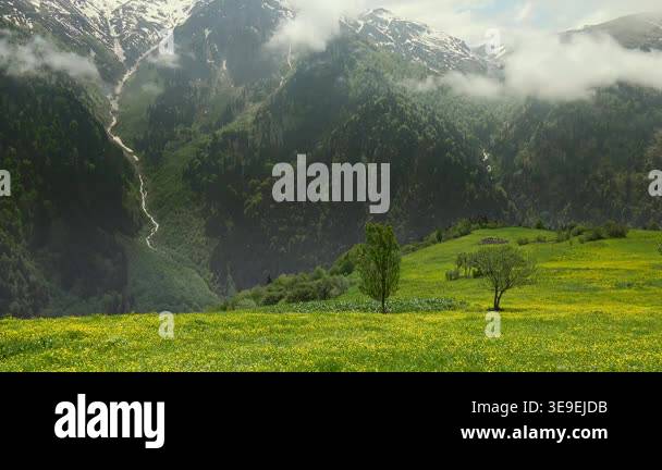 Alps mountain valley with spring meadow and drifting clouds in ...