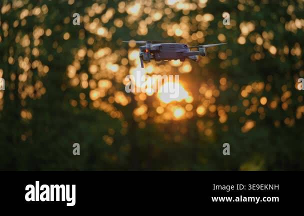Drone hovers with sunlit forest background, then slowly descends out of ...