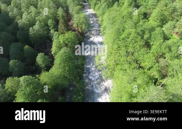 Aerial forest valley winding stream dense woodland water landscape ...