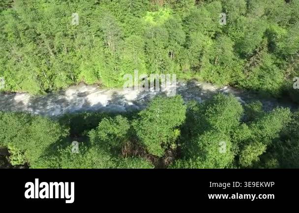 Aerial forest valley winding stream dense woodland water landscape ...
