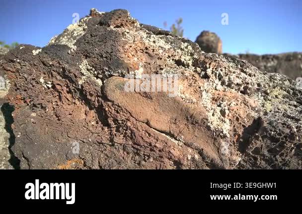 Viscous Rocks Frozen basalt lava rocks showing porous vesicular texture formed by ...
