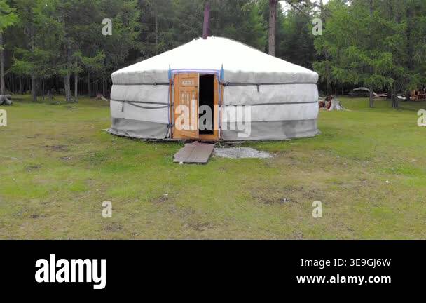 Single ger near a forest edge in Mongolia stands across quiet grassland ...