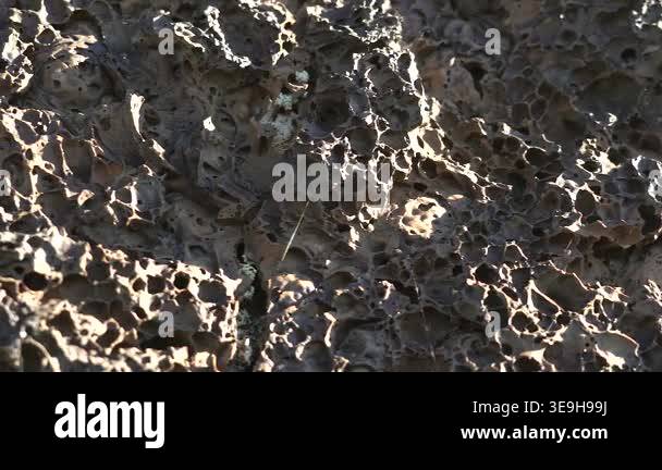Frozen basalt lava rocks show porous vesicular texture formed by ...