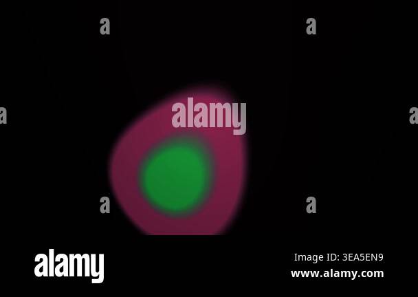 Microscopic Cell Biology Laboratory Sample Stock Video Footage - Alamy