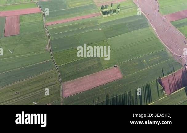 Aerial view of green agricultural farmland fields stretching across ...