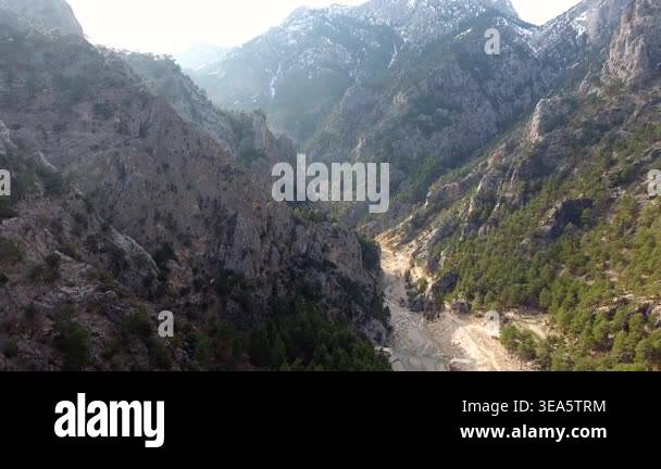 Aerial view of drought dried stream bed winding through forested ...