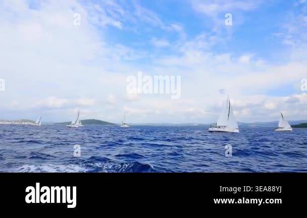 A group of sailboats are sailing in the ocean. The sky is blue and the ...
