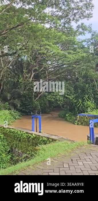 A muddy river flows past blue metal sluice gates in a lush, green ...
