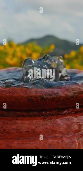 Vertical video. Slow Motion Clear Water Bubble Rising and Flowing Over ...