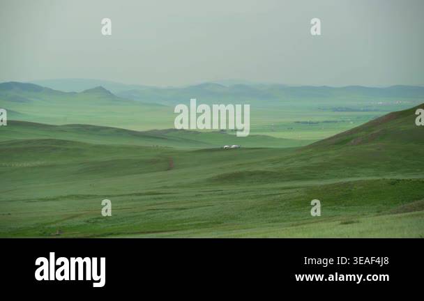 Mongolian ger tents stand in wide steppe meadow, showing traditional ...