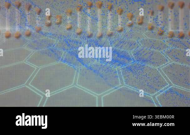 Animation of dna over grey background with hexagons. Science, human ...