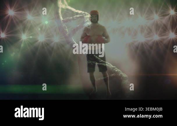 Animation of dna and lights over caucasian male boxer. human anatomy ...