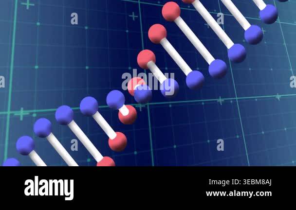 Helical Rise Dna DNA double helix forming from red or blue nodes rising and linking ...