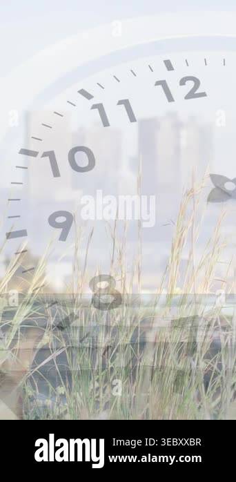 Vertical video: On start faint clock dial sweeping hands clockwise ...