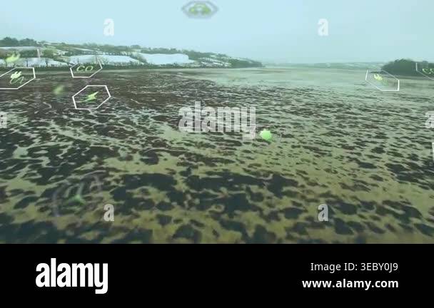 Camera moving forward over tidal mudflat, green hexes drifting toward ...