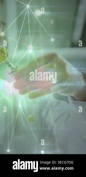 Vertical video: Sr lab tech fixing needle, drawing vial to syringe ...