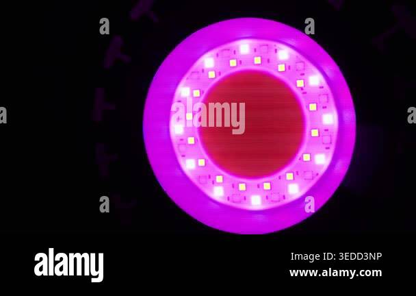 Magenta Led Module A circular LED light panel displays a bright magenta glow with a ...