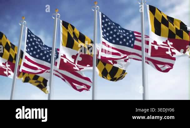 Maryland state flags waving in the wind with the american national ...