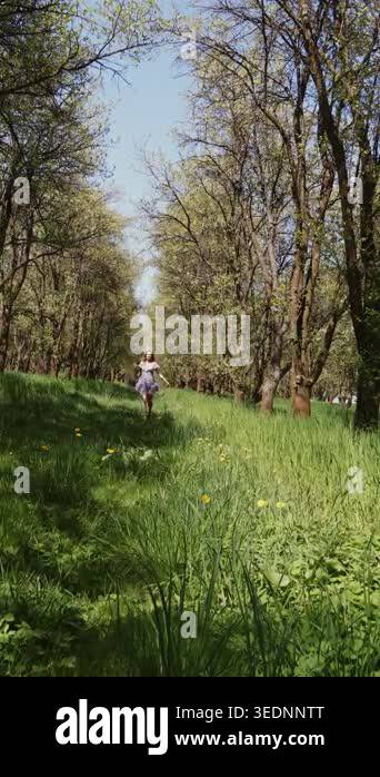 A beautiful young woman is running down a cherry tree-lined avenue ...