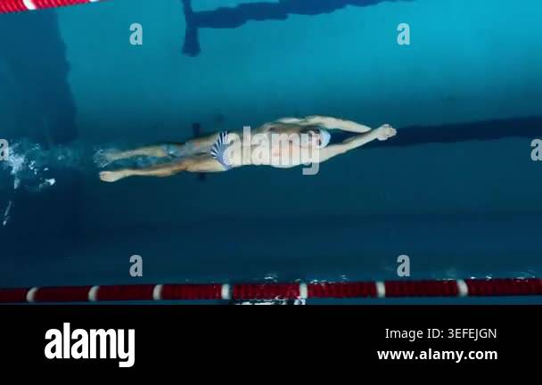 Top view shot of man swimming back crawl in indoor pool lane. Sports ...