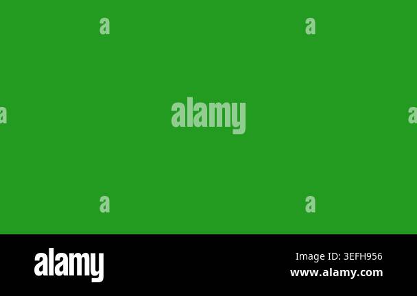 Data Scan Verification Interface Green Screen Overlay Animation 4K ...