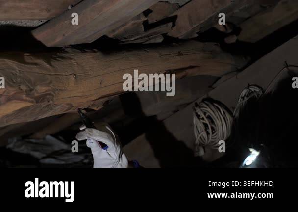 Dark attic setting where a professional exterminator in gloves injects ...