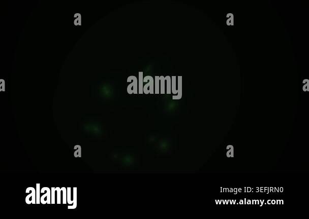 A mesmerizing abstract visual featuring bright green particles arranged ...