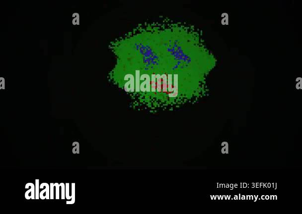 A digital visualization of a complex biological structure, possibly a ...