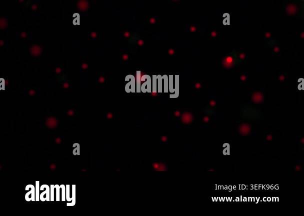 Small red particles on black background Stock Video Footage - Alamy