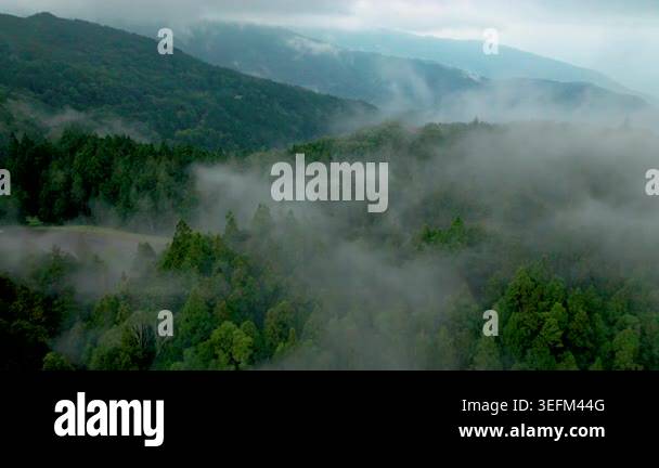 Aerial view misty foggy mountain landscape with clouds Stock Video ...