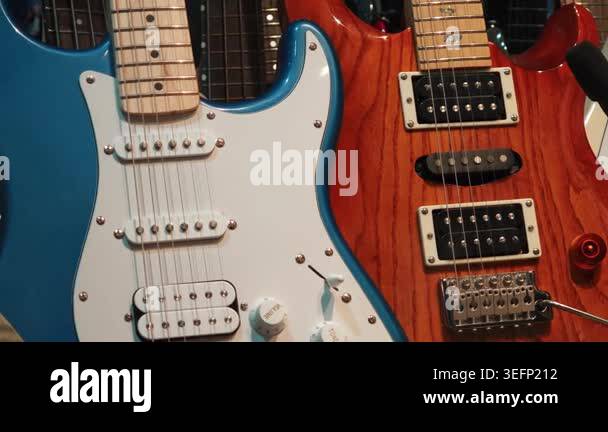 Selection of colorful stringed instruments displayed for professional ...