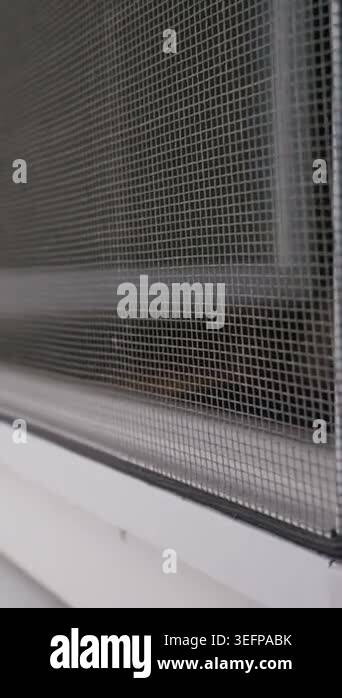 A detailed close-up focuses on the fine protective mesh of a mosquito ...