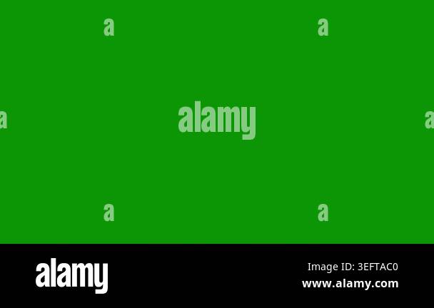 leaf vector icon illustration Stock Video Footage - Alamy
