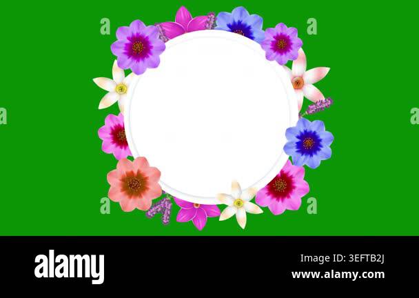card for the holiday with flowers Stock Video Footage - Alamy