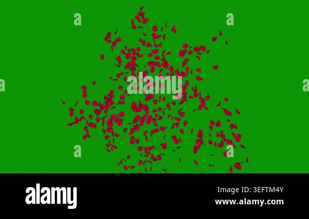 light green vector texture with beautiful snowflakes. colorful ...