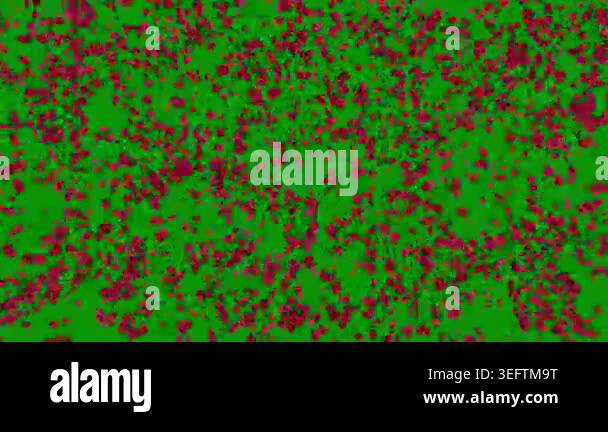 colored background with different accessories Stock Video Footage - Alamy