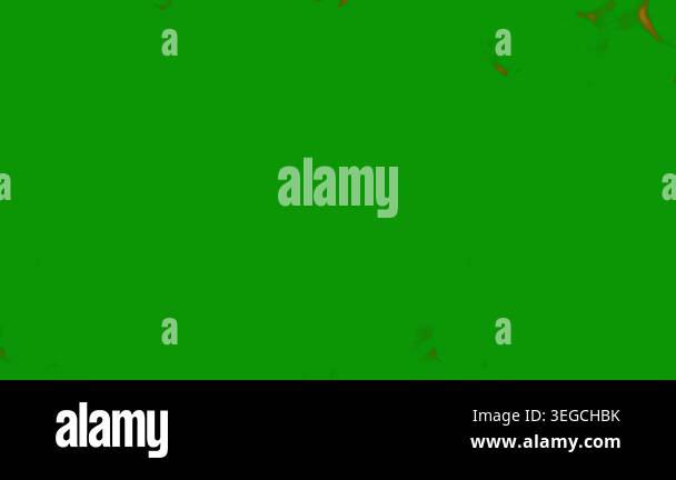 light green, red vector background with spots. blurred decorative ...